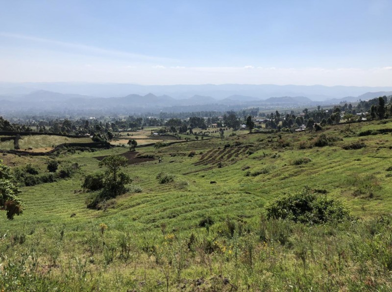 Ugandas gröna och kulliga landsbygd.