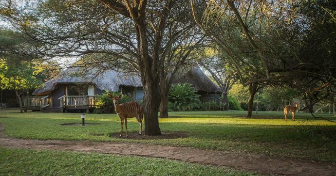 Rhino River Lodge