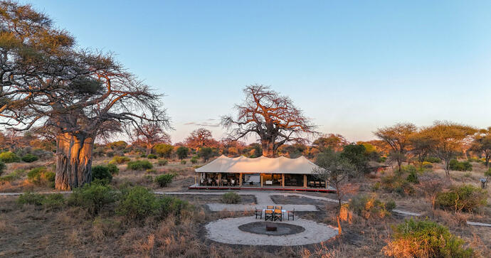 Tarangire Greenland