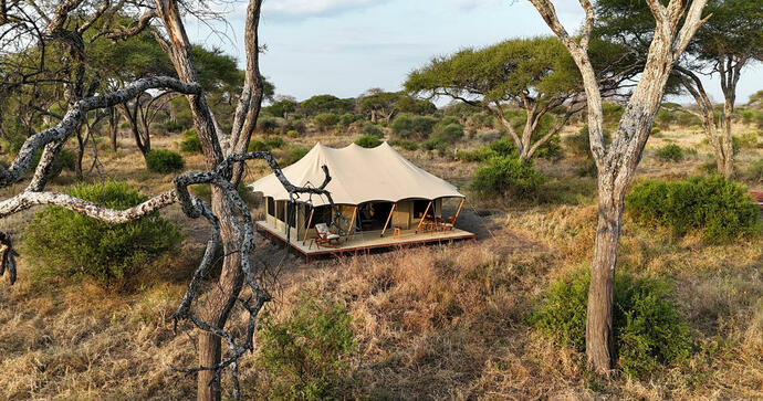 Tarangire Greenland