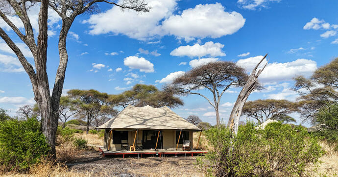 Tarangire Greenland