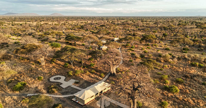 Tarangire Greenland