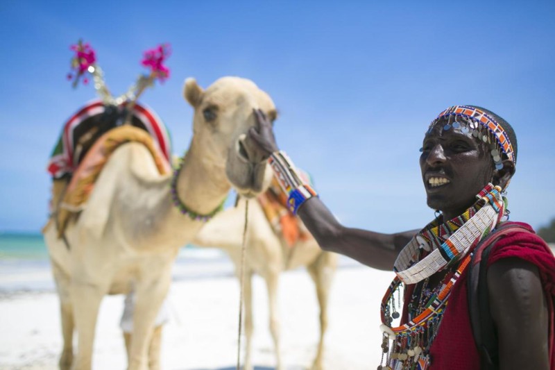 Kenyansk kvinna med traditionella kläder klappar en kamel på strand i Afrika.