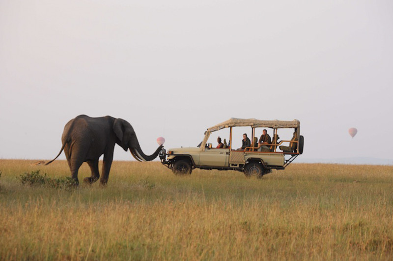 Elefant står framför jeep på safari i Kenya med luftballonger i bakgrunden.